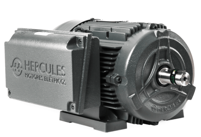 Motor IP55 monofásico