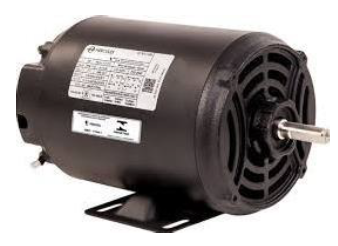 Motor Nema Trifásico – IP 21 / IR 2 Eco